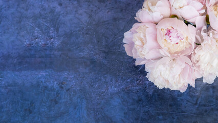 Peony flowers are pale pink, on a blue background, top view. Flower arrangement. Layout with plants. A flat plate with flowers on a blue table. The concept of Women's Day.