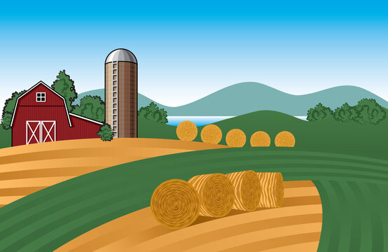 Farm Landscape Vector Illustration With Barn, Silo, Corn Fields And Hay Bales.