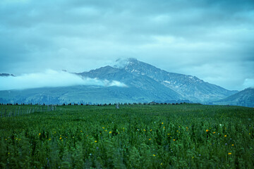 mountains on plain in a foggy morning