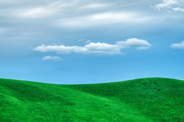 green field and blue sky