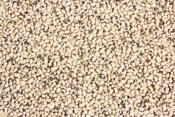 Pile of Black Eyed Peas on Table Close up