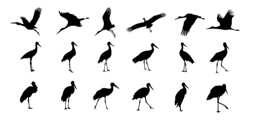 A set of stork silhouette on a separate white background. Birds - obrazy, fototapety, plakaty