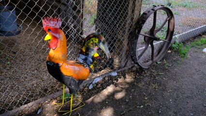 Farm scenes on a sunny day