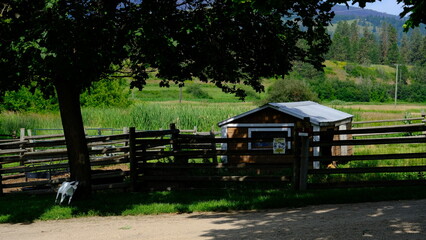 Farm scenes on a sunny day