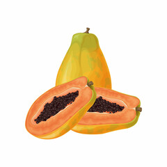 Papaya. Fresh, sweet papaya. Ripe fruit. Exotic fruits. Papaya in the cut. Vector illustration isolated on a white background