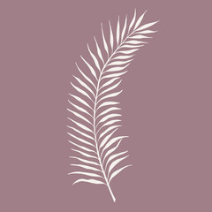 Tropical palm branch in boho style. Vector illustration.