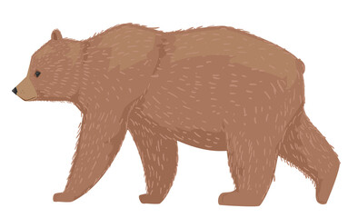 Finland Brown Bear Illustration