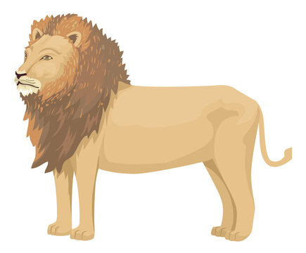 recommend clip art: Ethiopia Lion Illustration