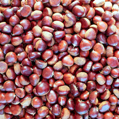 Organic chestnuts top view closeup, vegetable food brown background