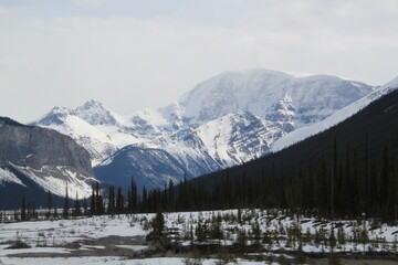 Fototapeta na wymiar Winters High Ground, Jasper National Park, Alberta