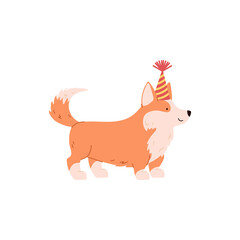 Cute funny corgi dog in birthday hat flat cartoon vector illustration isolated.