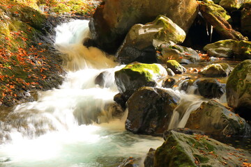 美しい日本の秋桂川の渓流