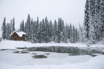 forest snow with lake and house