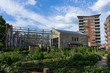 A kitchen garden in neighbourhood "Berghkwartier" near Oss city centre (North Brabant, the Netherlands). With on the left the steel structure of shed roofs of what used to be a cotton wool factory.