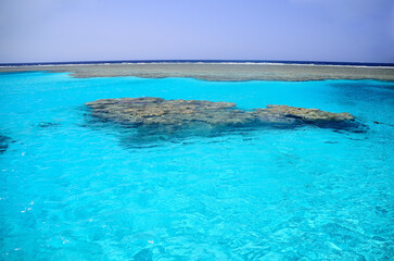 Fototapeta na wymiar coral reef in the nature reserve