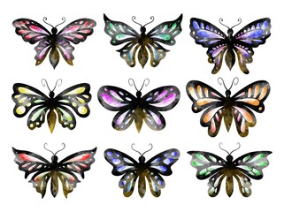 Fototapeta na wymiar Butterfly Watercolor Set
