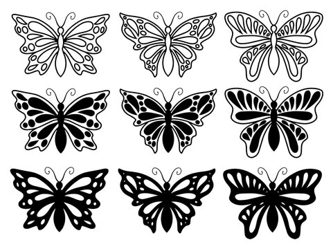 Butterfly Line Art Doodle Illustration