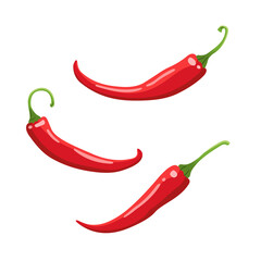Three spice chili pepper vector colored illustration