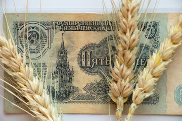 Ruble banknote and Ukrainian wheat on a white background, grain theft by Russia in Ukraine 2022