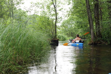 Fototapeta na wymiar Kayaking in a kayak or canoe in the river in Poland in summer with lush green nature around