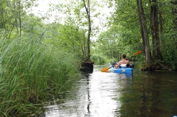 Foto op Canvas Kayaking in a kayak or canoe in the river in Poland in summer with lush green nature around © piotrmilewski
