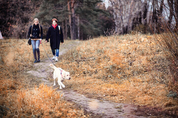Young girl on a walk in the autumn