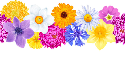 Fototapeta na wymiar seamless border with drawing flowers at white background , hand drawn botanical illustration
