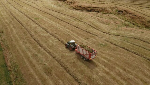 Silage tractor collecting dry yellow grass fodder in open rural field, aerial