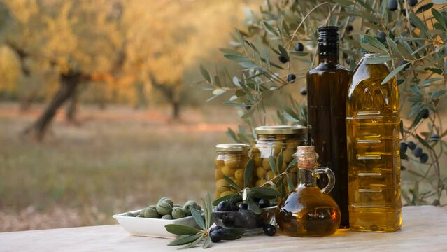 Composition of olive tree branch, bottles with olive oil and preserved olives in jar on table outdoors.