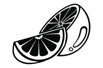 black and white orange fruit vector