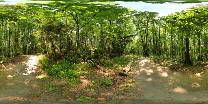 Forest Park - Peyton/Allan murders