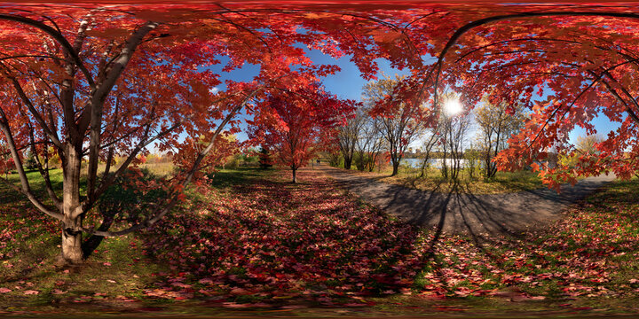 A walk through the  Autumnal trees, Stanley Park, Ottawa