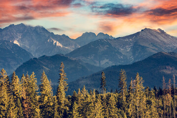 Tatra mountains at sunset with forest valley landscape in Poland