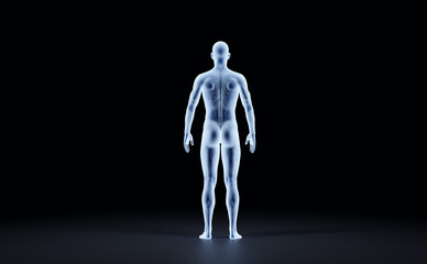 X-ray outline of man body back view