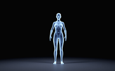 X-ray outline of woman body front view