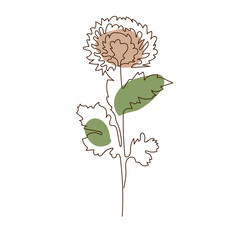 One line flower of chrysanthemum.  Minimalist continuous linear vector illustration. Modern wall art.