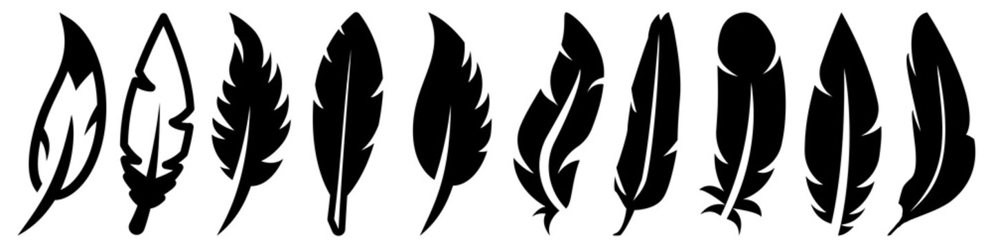 Feather vector icon Set. Pen illustration sign collection. Nib symbol or logo.