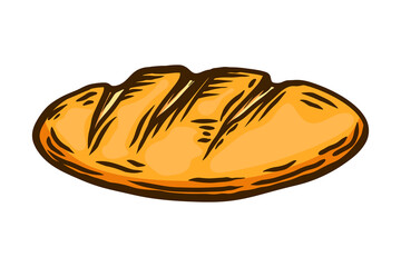 Hand drawn bread illustration. Design element for package, banner, flyer, card. Vector illustration