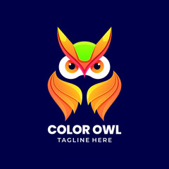 colorful owl logo illustration vector template