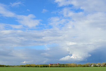 Village houses on the edge of a green field under a blue cloudy sky on a sunny summer day, summer...