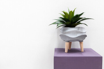 Plant pot modern decoration on stand with empty the wall minimal interior concept. Fake tree or artificial plant from plastic ornamental design on the blank wall.	 