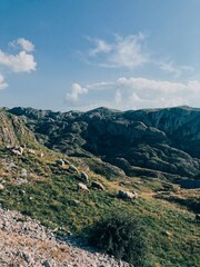 Naklejka na ściany i meble Mountains in Montenegro 