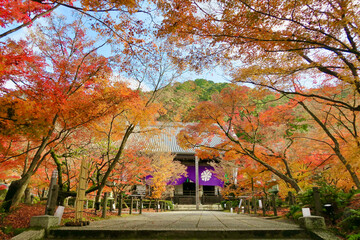 紅葉の京都寺