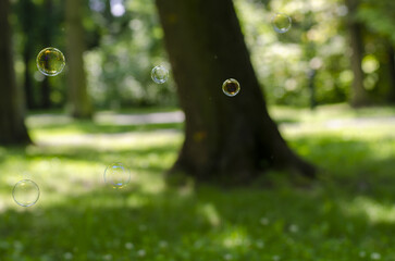 bubbles in the park