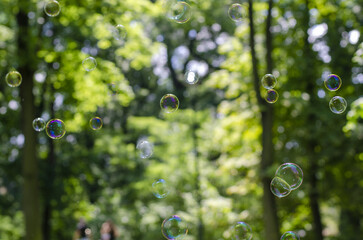 bubbles in the park
