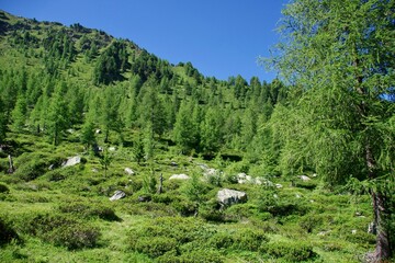 Landschaft Tarscheralm