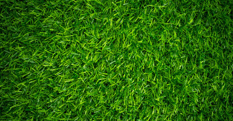 Fototapeta premium Green grass background, football field 