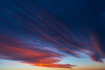 Fototapeta premium Atmospheric bright pink summer dawn, colored clouds, sunrise, black silhouette of the horizon
