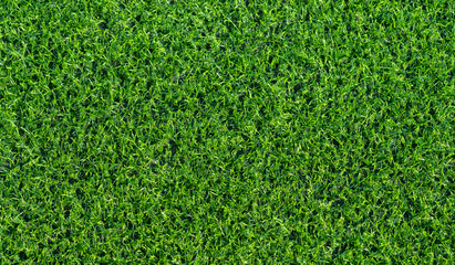 Obraz premium Green grass background, football field 