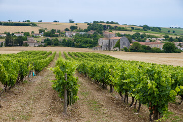 Fototapeta na wymiar Scenic view of Abbatiale St-Maur 16140 Marcillac-Lanville, France with vineyards